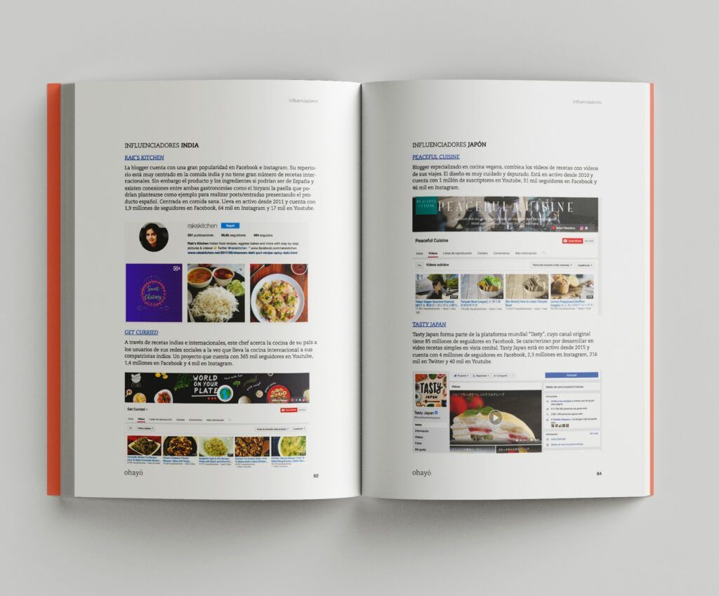 Informe, paginas Influencers